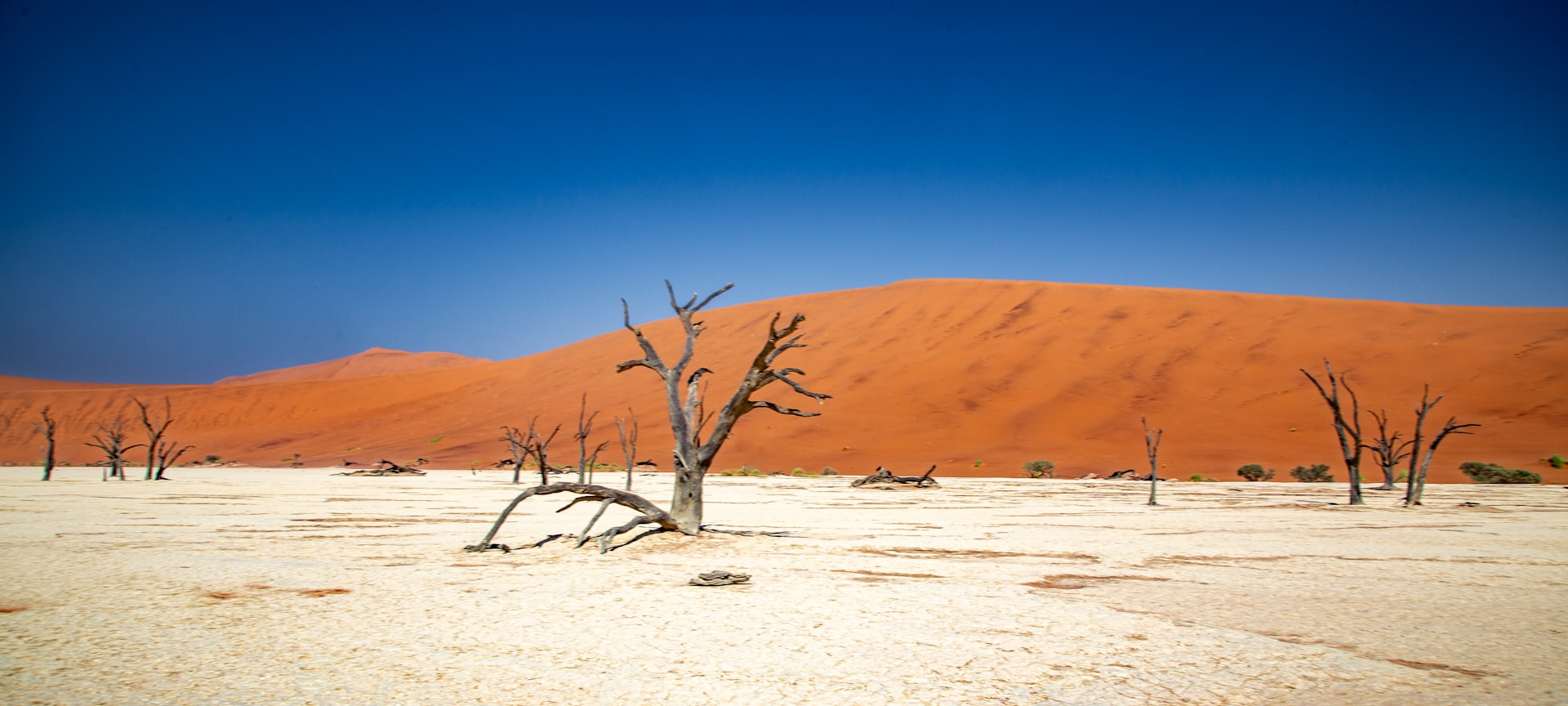Sossusvlei formation history how desert was created